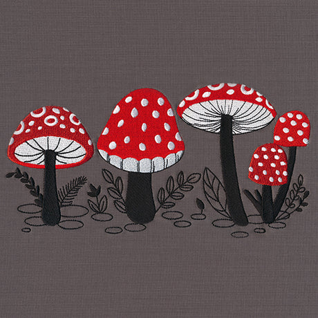 Morel of the Story Border