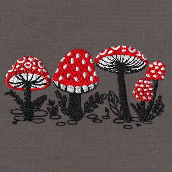 Morel of the Story Border