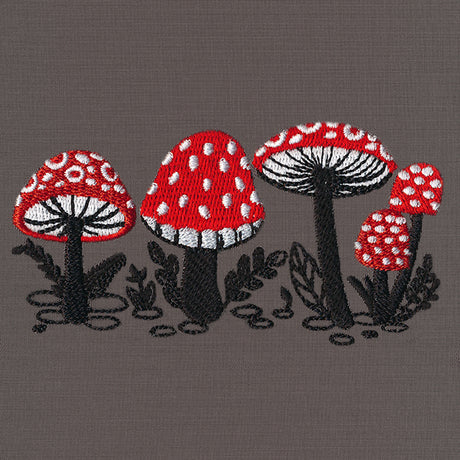 Morel of the Story Border