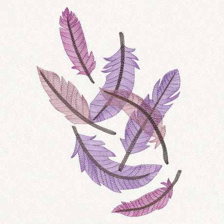 Feathered Curiosity Collage