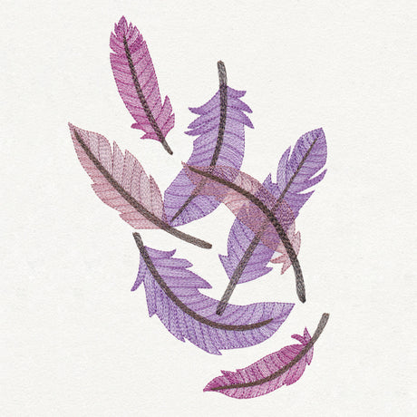 Feathered Curiosity Collage