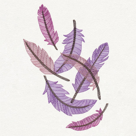 Feathered Curiosity Collage