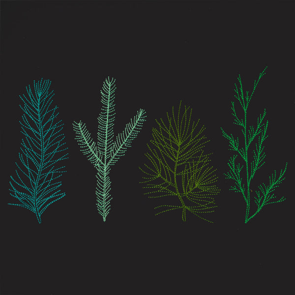 Pining for You Border