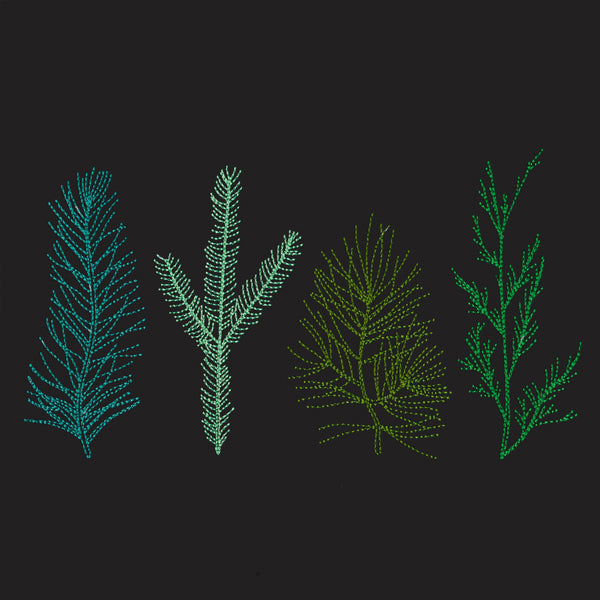 Pining for You Border