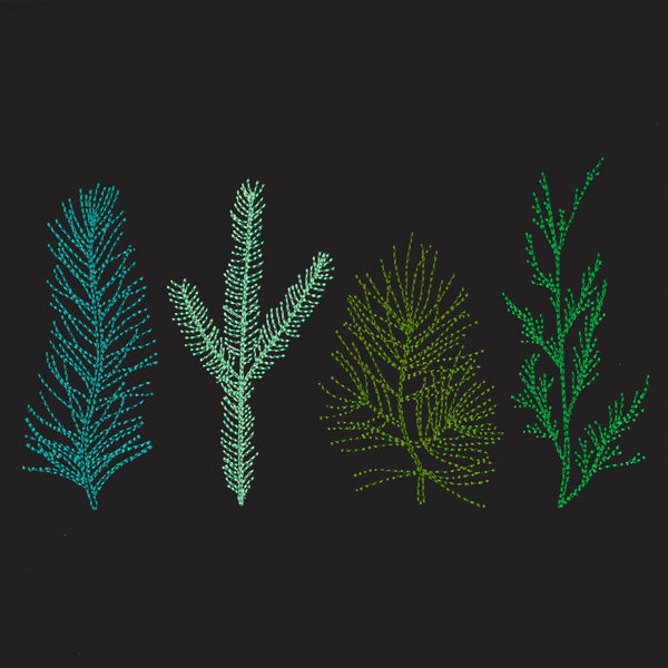 Pining for You Border