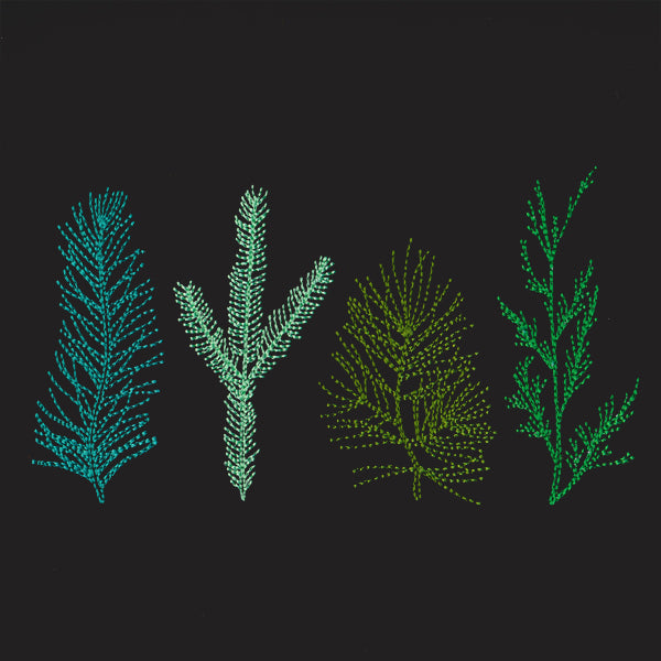 Pining for You Border