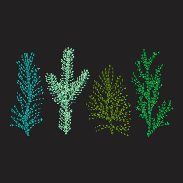 Pining for You Border