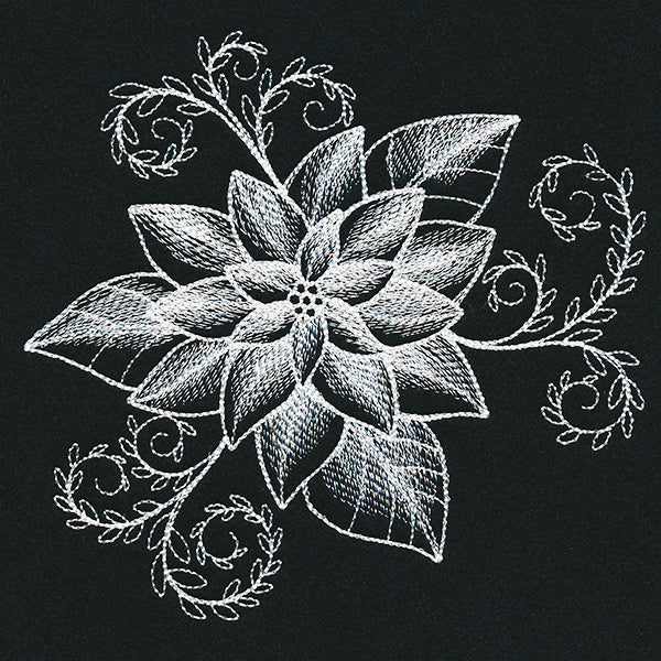 Sheer Beauty Poinsettia