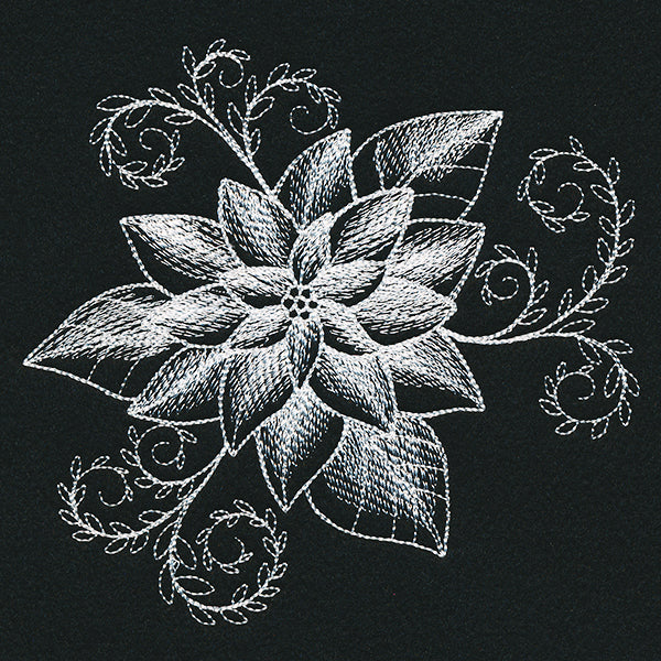 Sheer Beauty Poinsettia