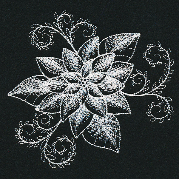 Sheer Beauty Poinsettia