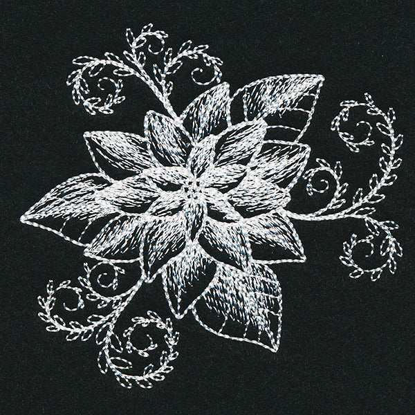 Sheer Beauty Poinsettia