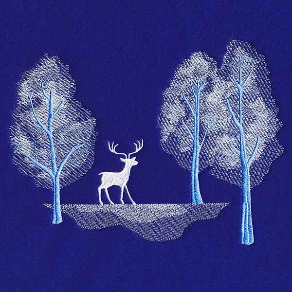 Enchanted Winter Forest