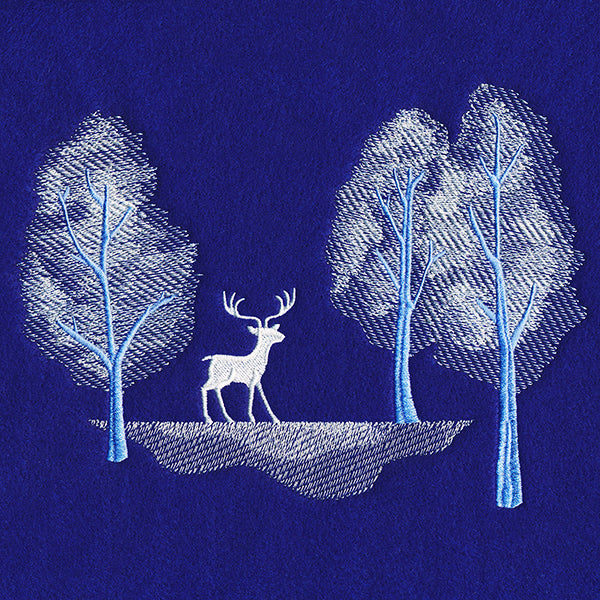 Enchanted Winter Forest