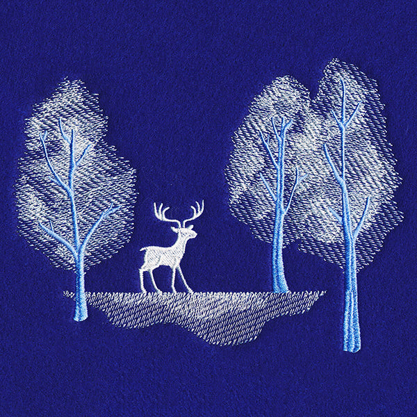 Enchanted Winter Forest