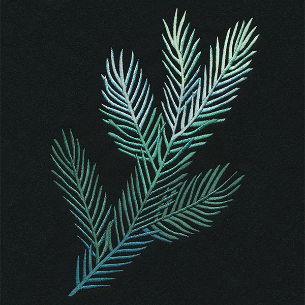 Spruce Things Up Spray