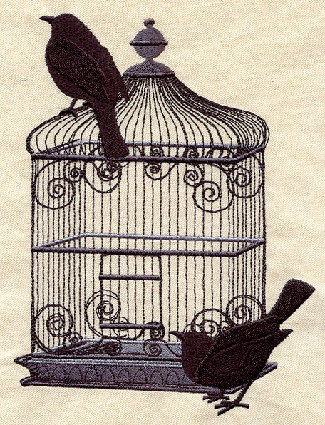 Black Bird Cage