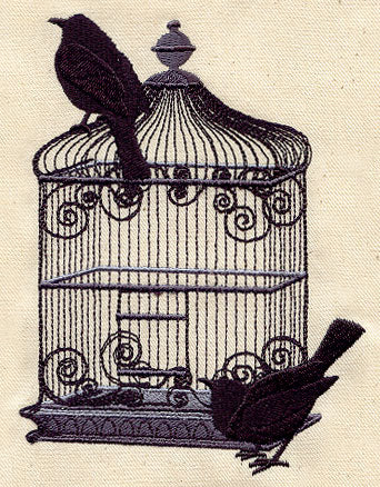 Black Bird Cage