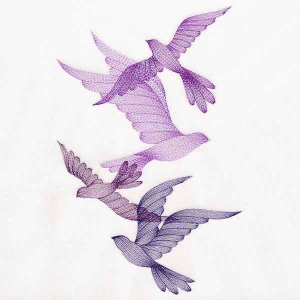 Feathered Curiosity Birds Collage