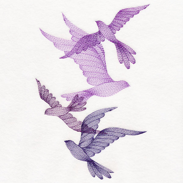 Feathered Curiosity Birds Collage