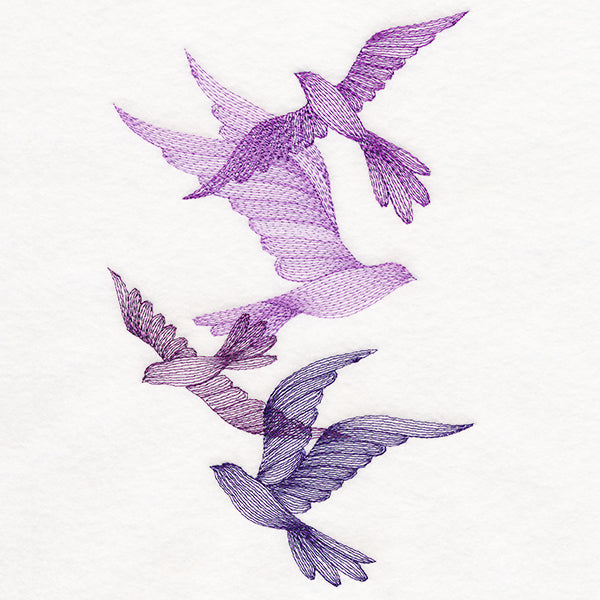 Feathered Curiosity Birds Collage