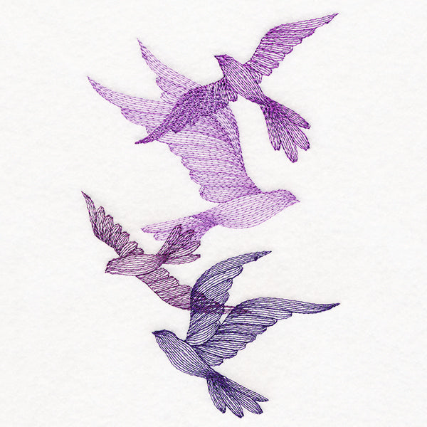 Feathered Curiosity Birds Collage