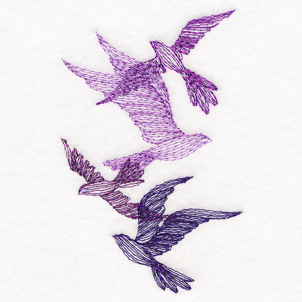 Feathered Curiosity Birds Collage