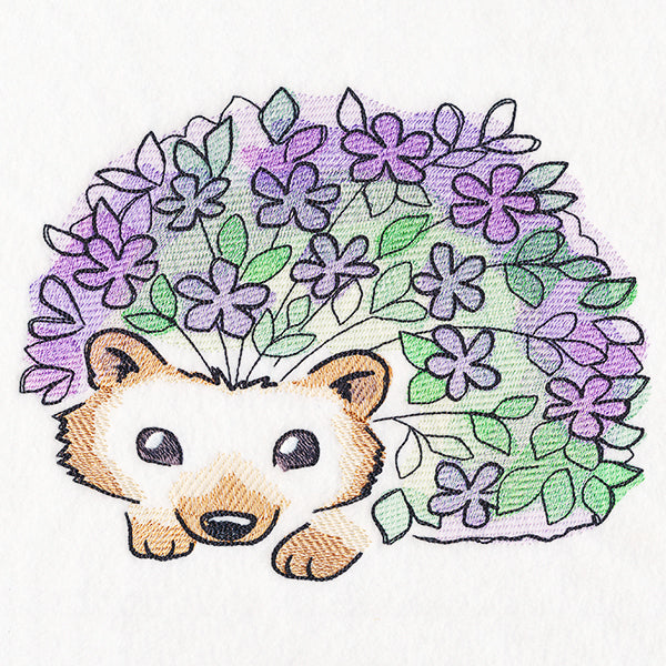 Hedge-hog