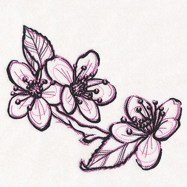 Sketchwork Cherry Blossoms