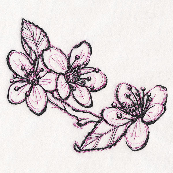 Sketchwork Cherry Blossoms