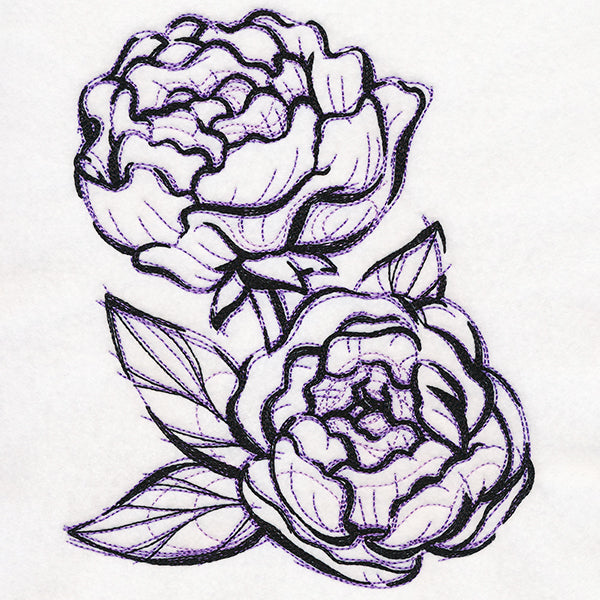 Sketchwork Peonies