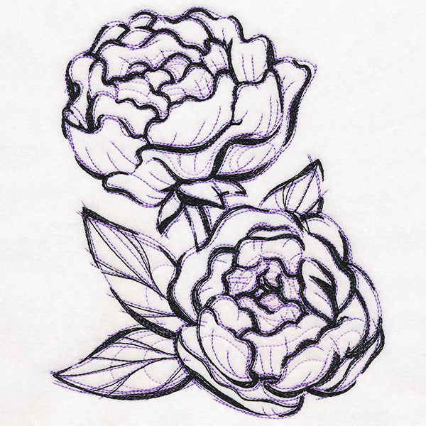Sketchwork Peonies