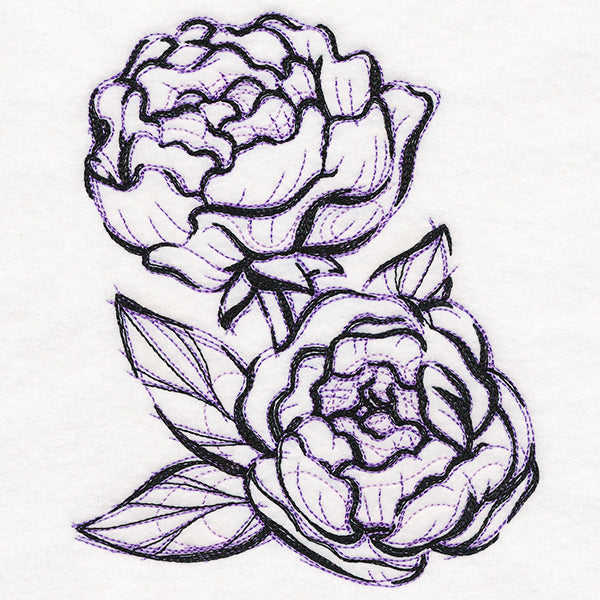 Sketchwork Peonies