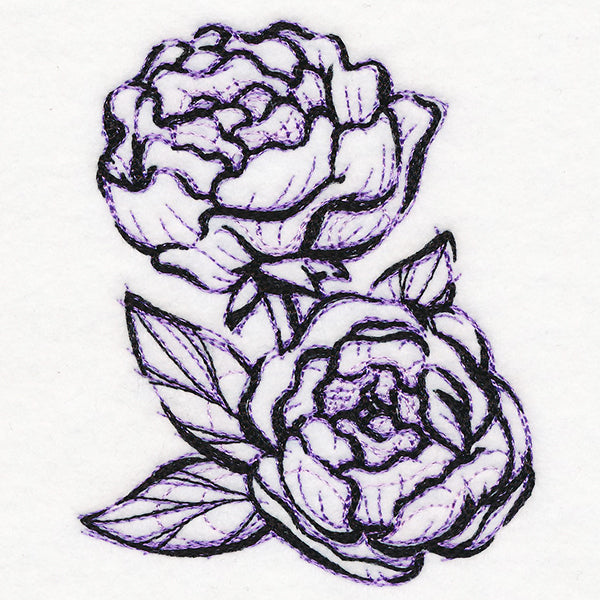 Sketchwork Peonies