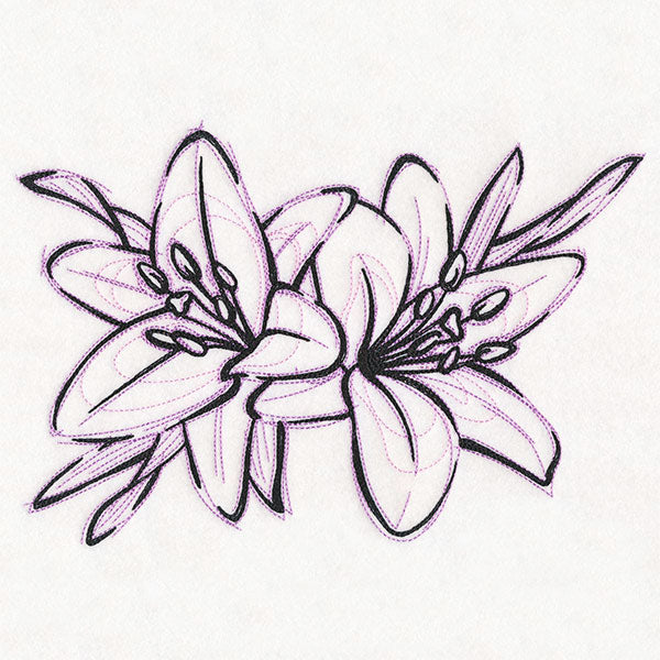 Sketchwork Tiger Lilies