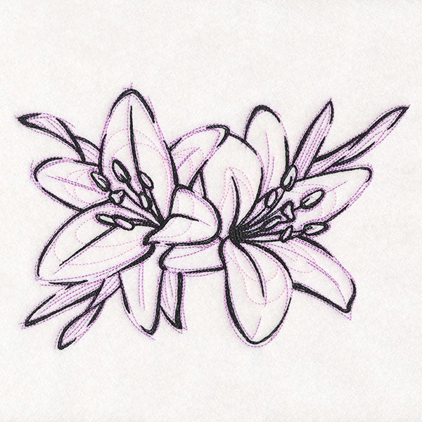 Sketchwork Tiger Lilies