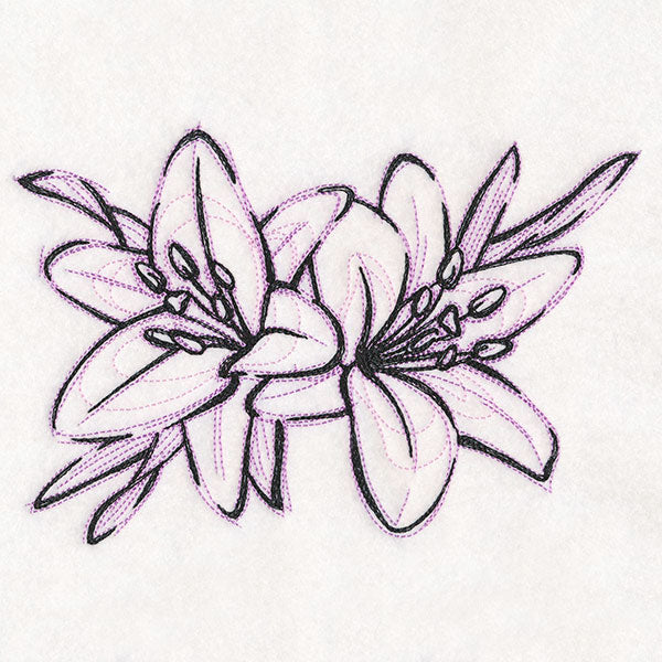 Sketchwork Tiger Lilies