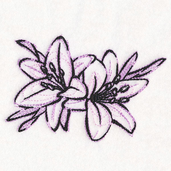 Sketchwork Tiger Lilies