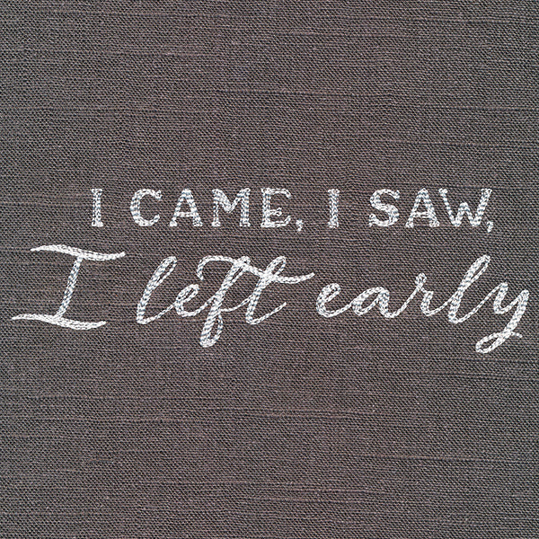 I Came, I Saw, I Left Early