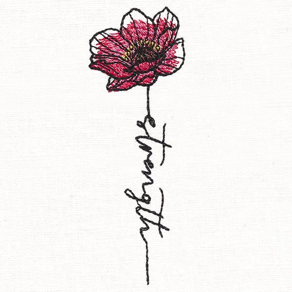 Strength Poppy in Bloom