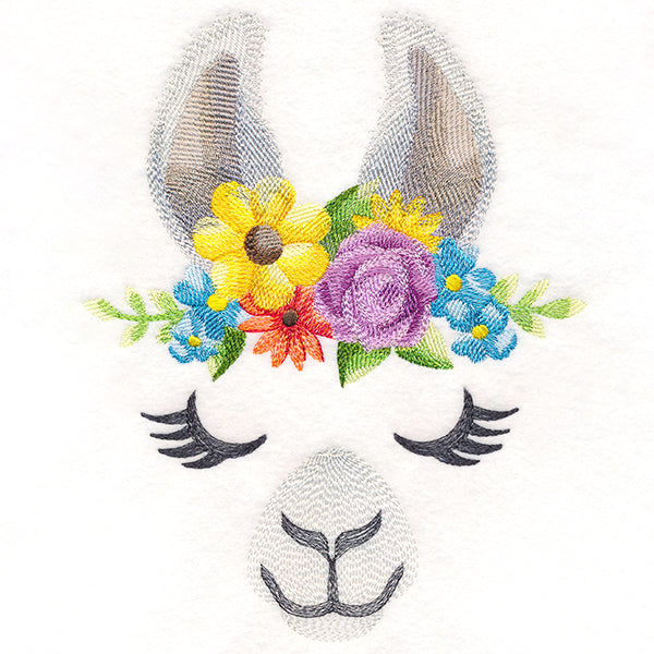 Enchanting Llama Face
