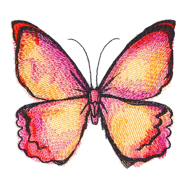 Flight of Fantasy Butterfly