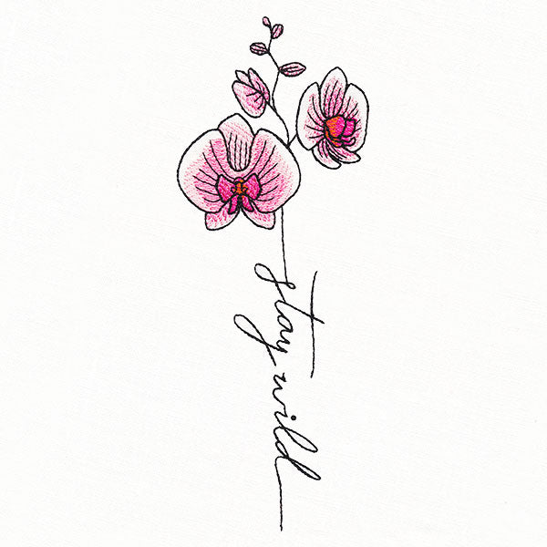 Stay Wild Orchid in Bloom