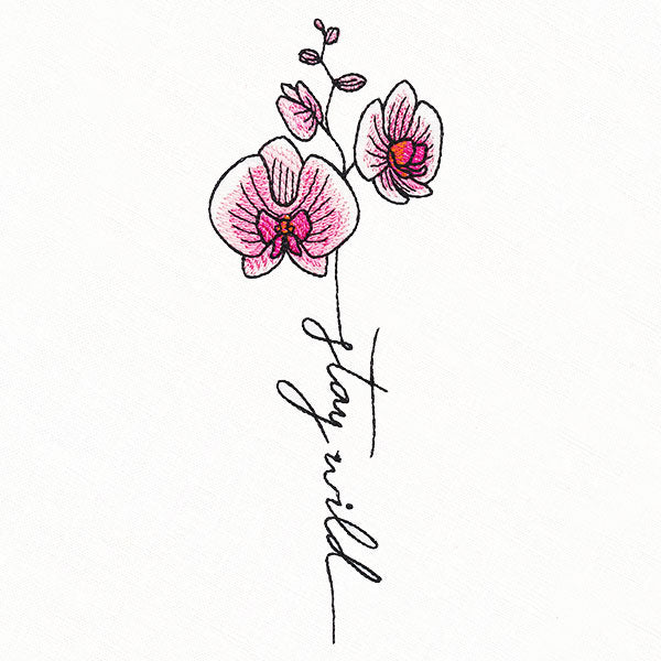 Stay Wild Orchid in Bloom