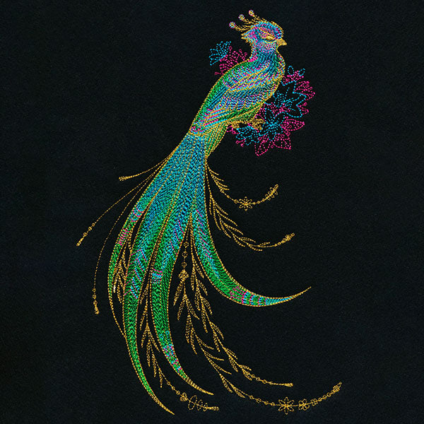 Shimmering Quetzal