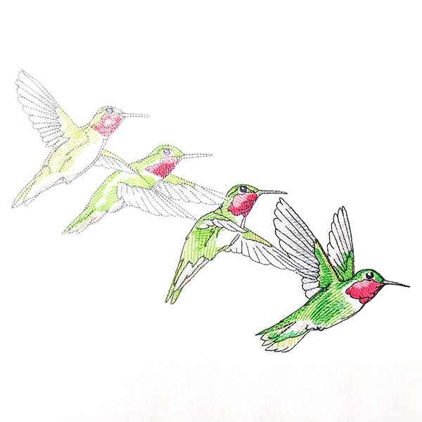 Hummingbirds in Flight