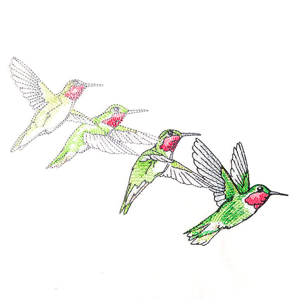 Hummingbirds in Flight