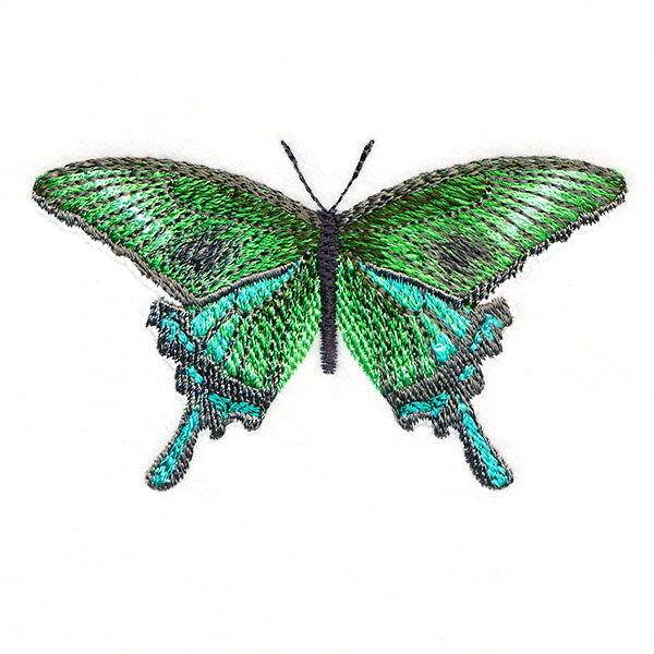 Butterfly Bliss - Japanese Swallowtail