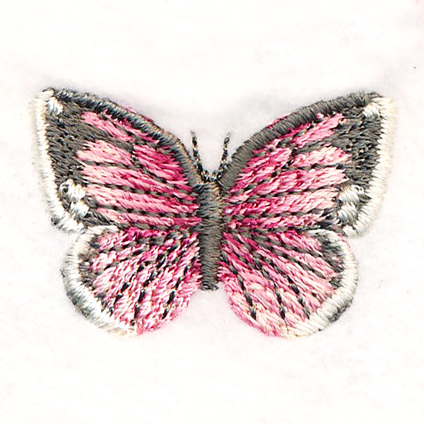 Butterfly Bliss - Colias Eurytheme