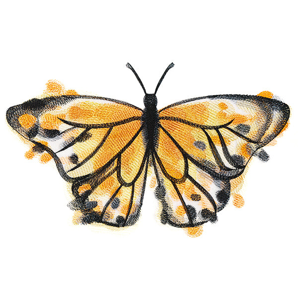 Nature's Palette Monarch