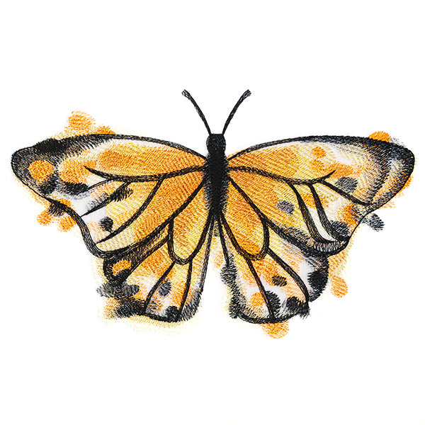 Nature's Palette Monarch